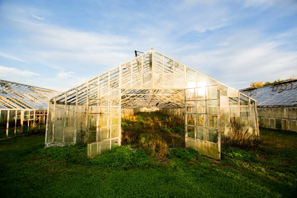 Greenhouse