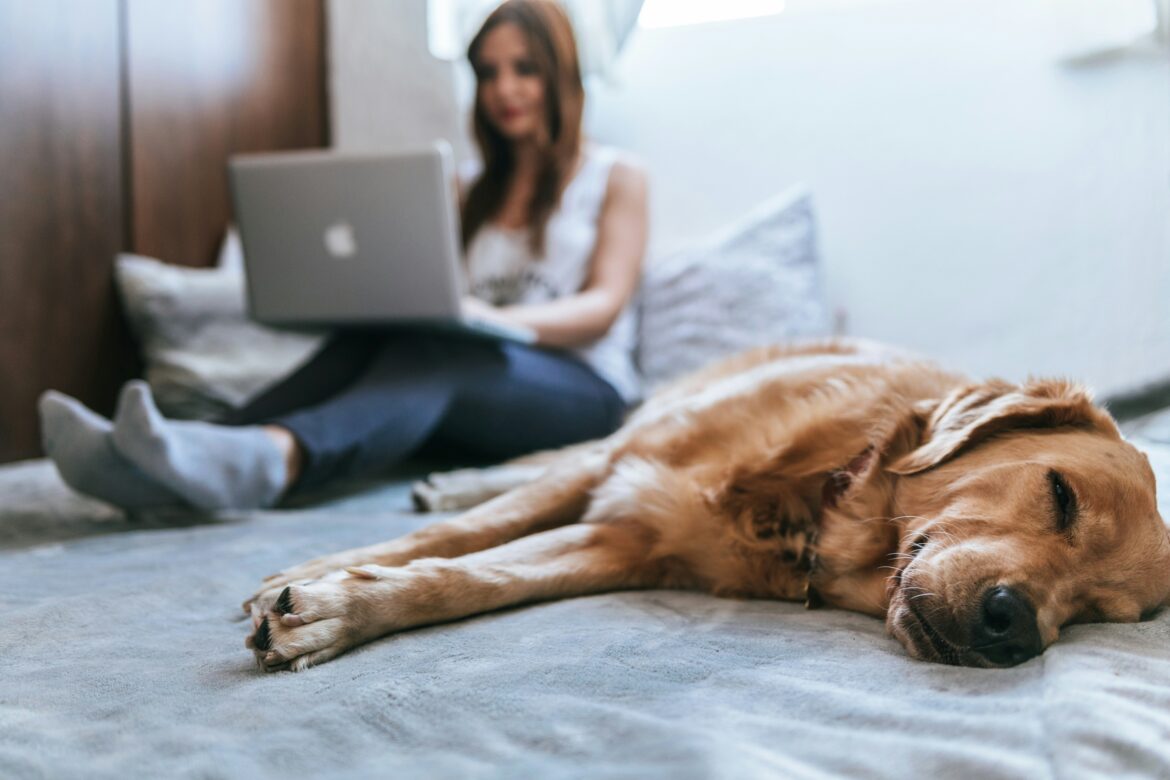 Remote working telework