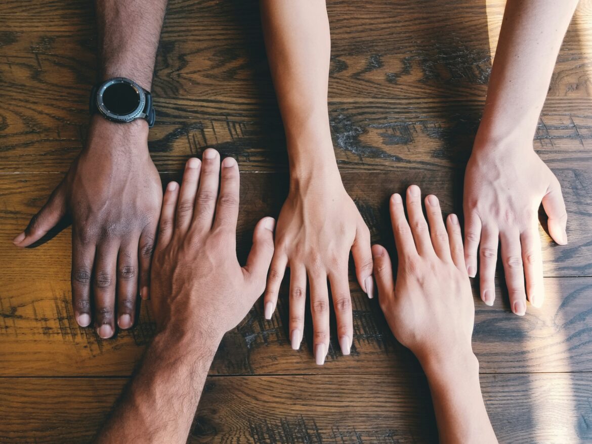 Diversity concept