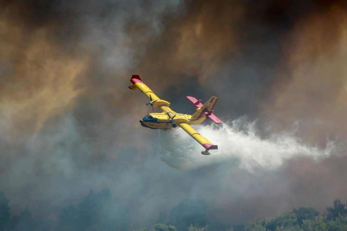 Wildfires
