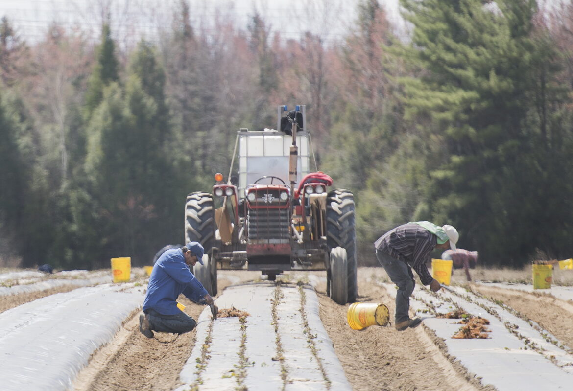 Foreign-Workers-Report 20240813