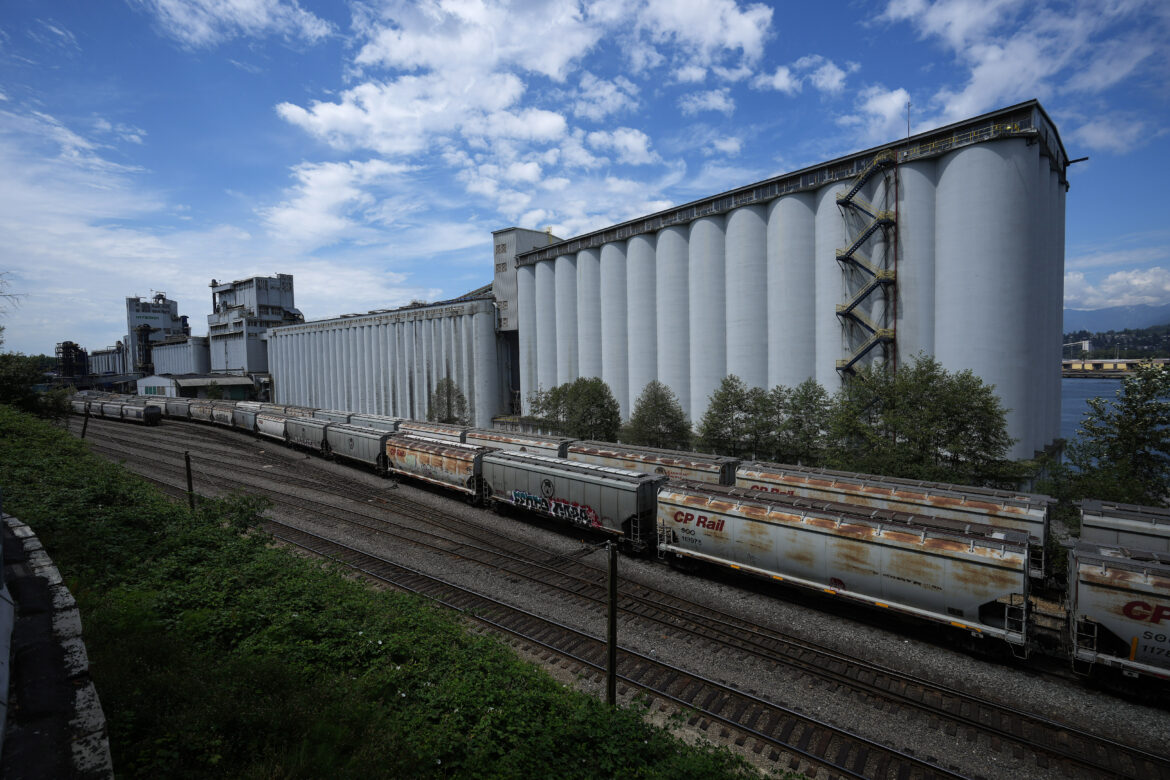 Grain-Workers-Strike 20240924