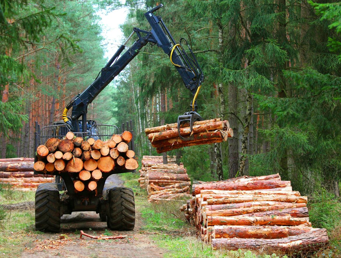Logging