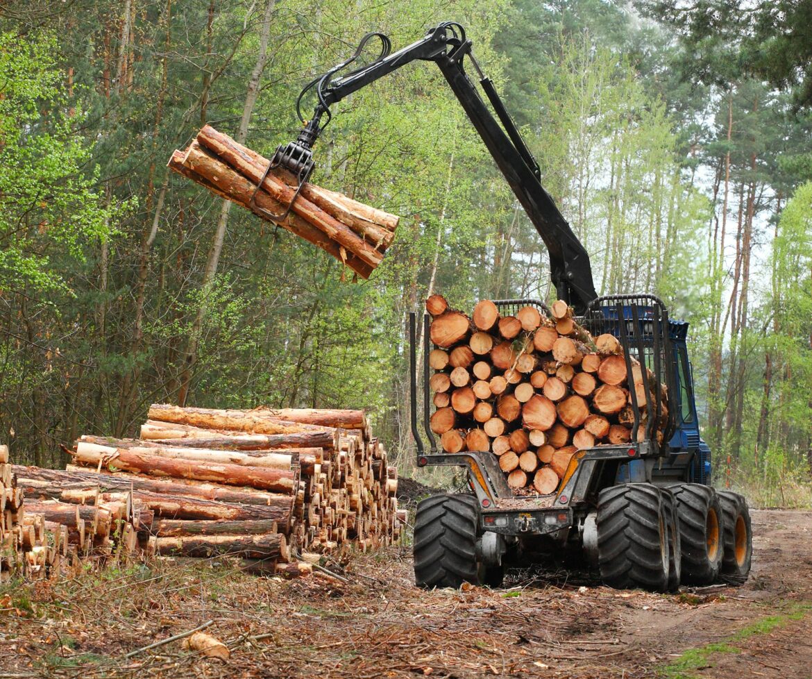 Forestry
