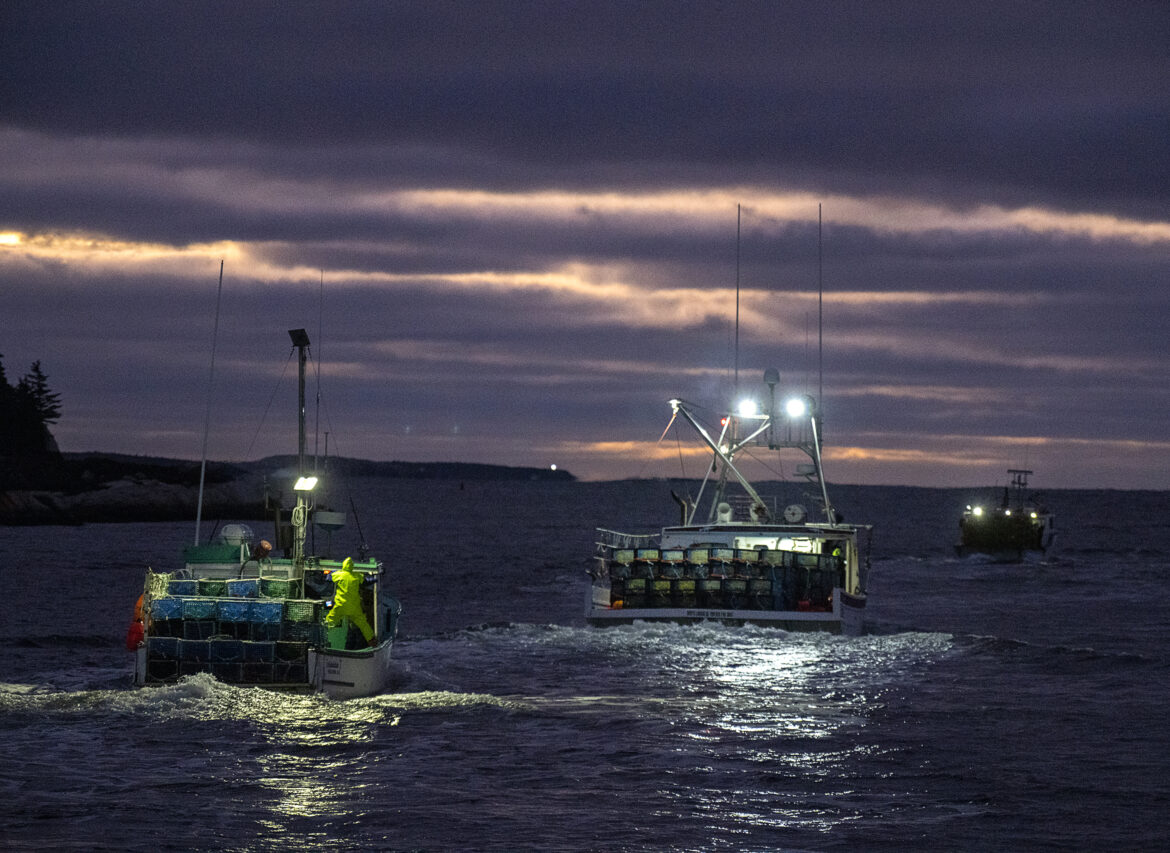 lobster boats