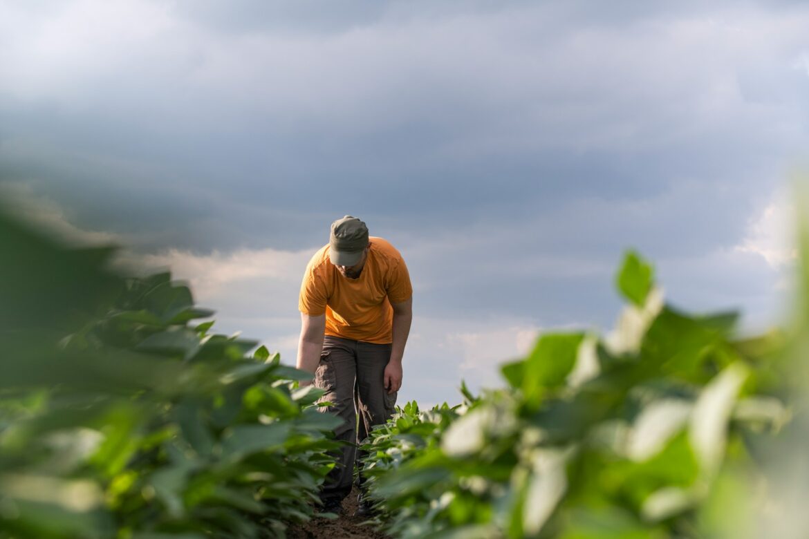 Farm worker