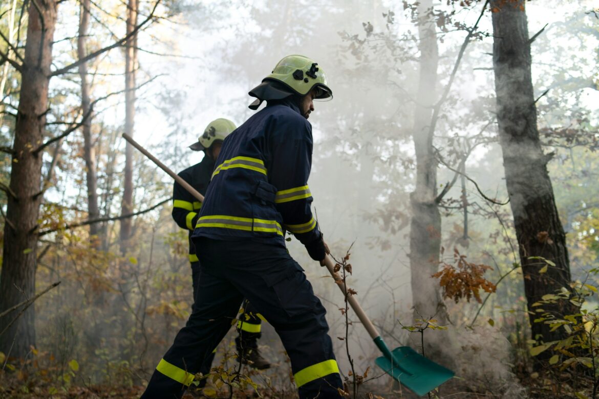 Wildfires
