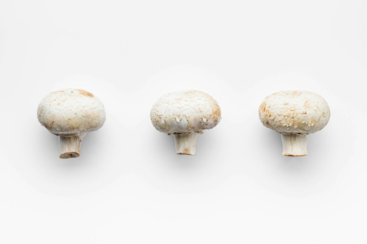 Mushrooms