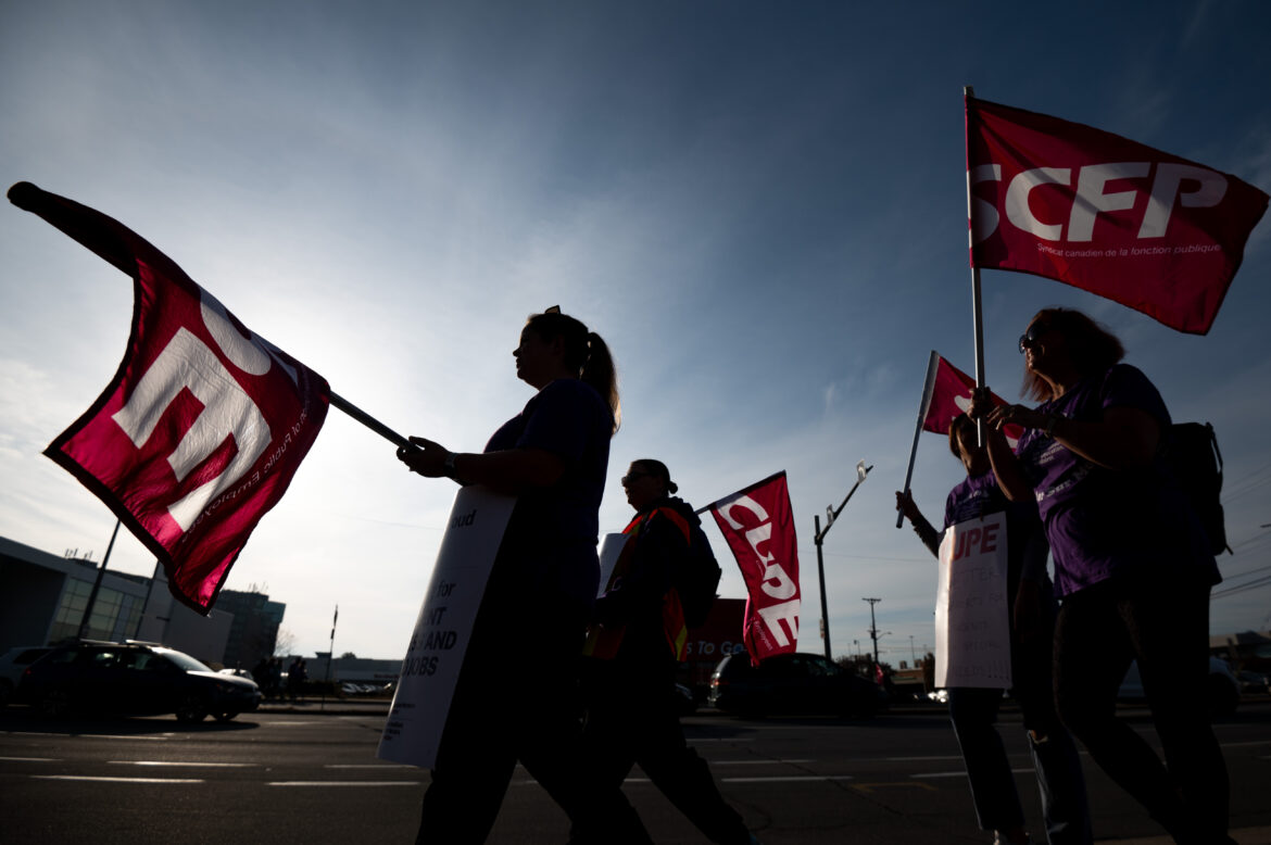 Alta-CUPE-Strike 20250107