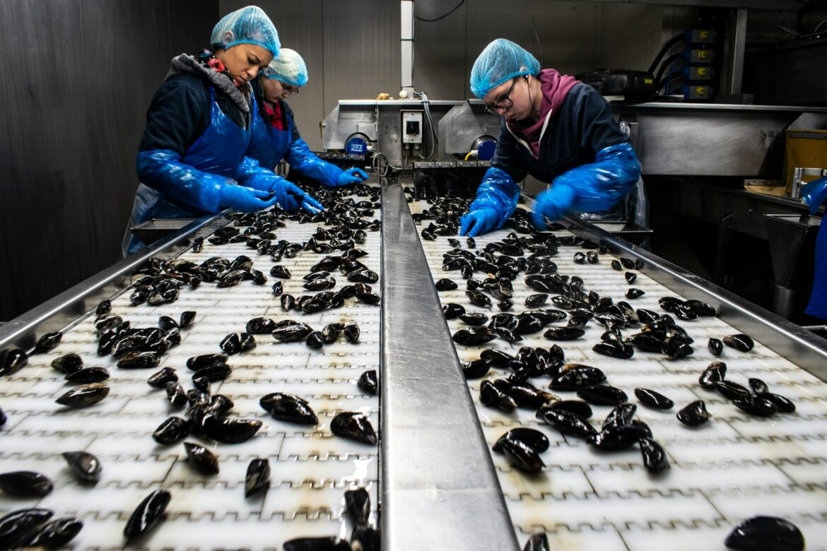 Seafood processing