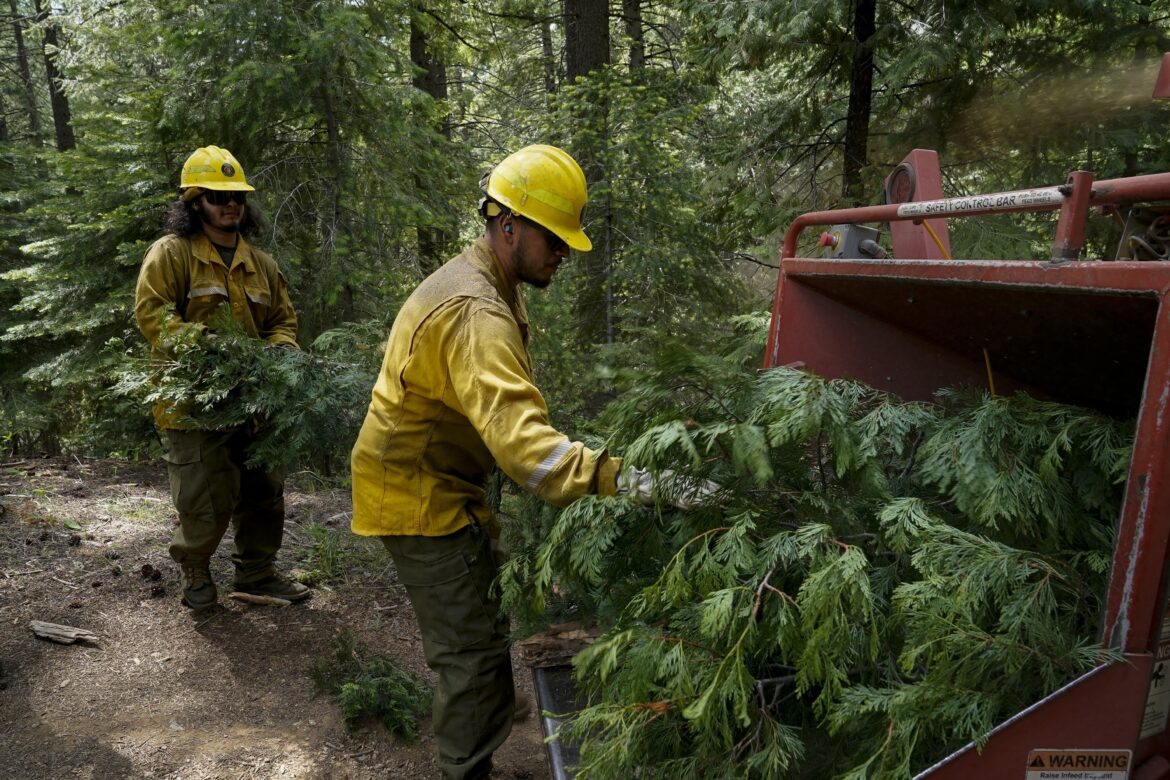 Trump-Wildfires-Fired-Workers