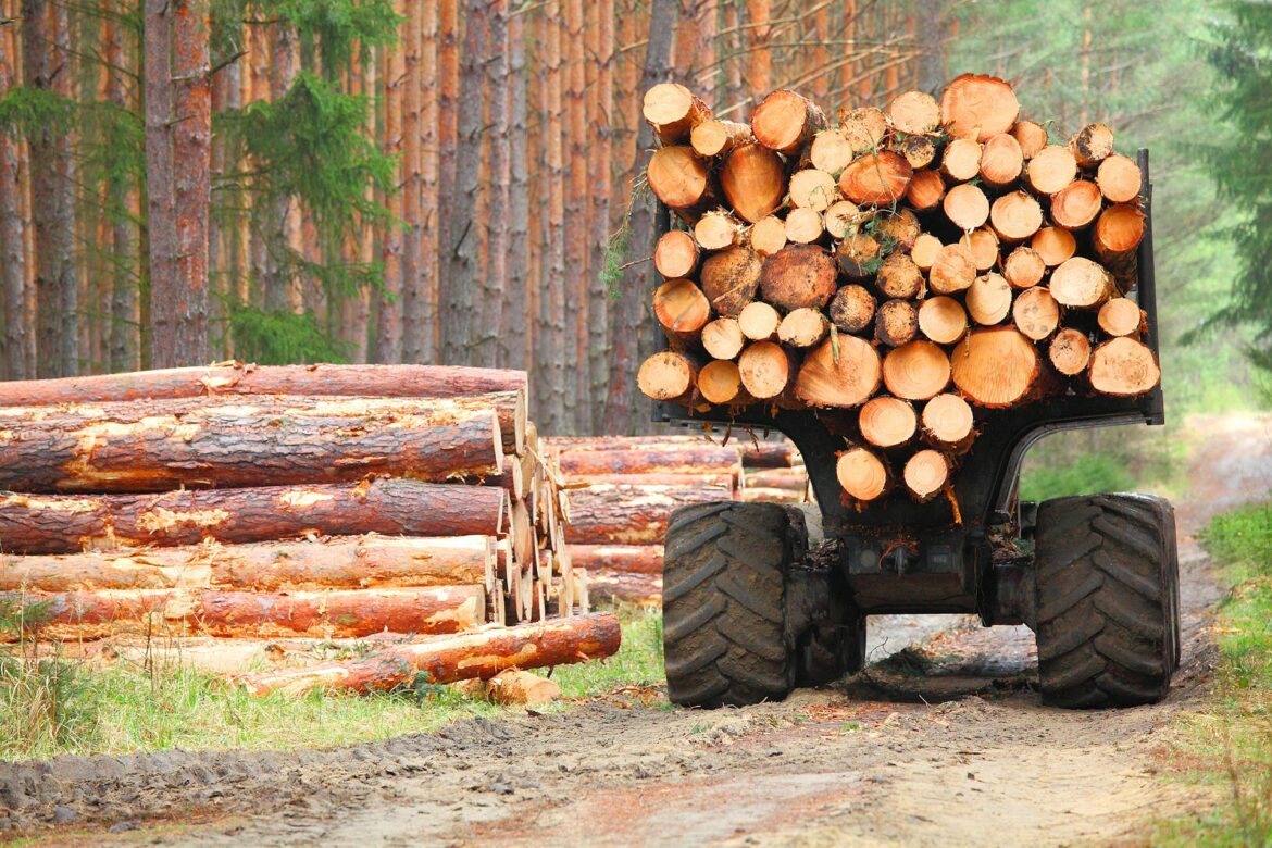 Softwood lumber and forestry workers