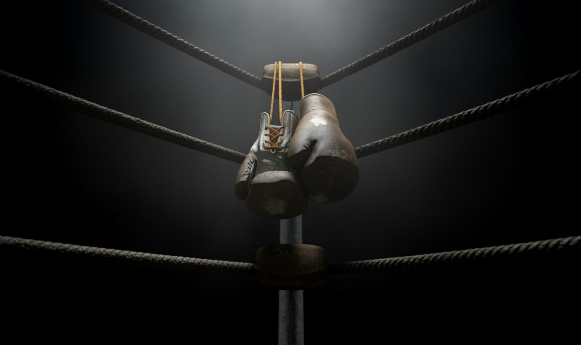 Boxing gloves