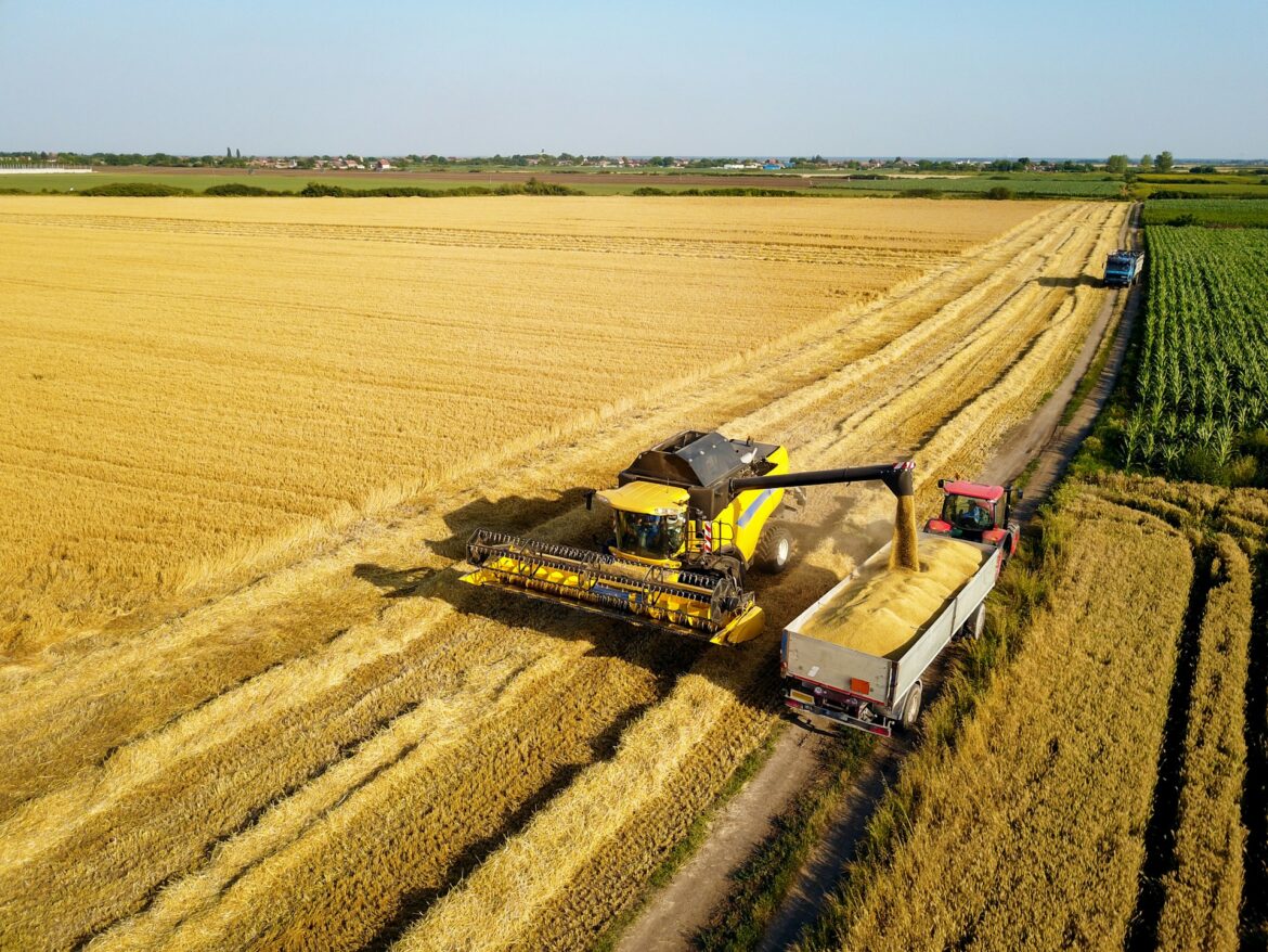 Farming harvesting combine wheat