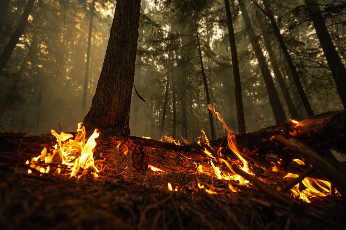 Wildfires BC Investigation 20250507