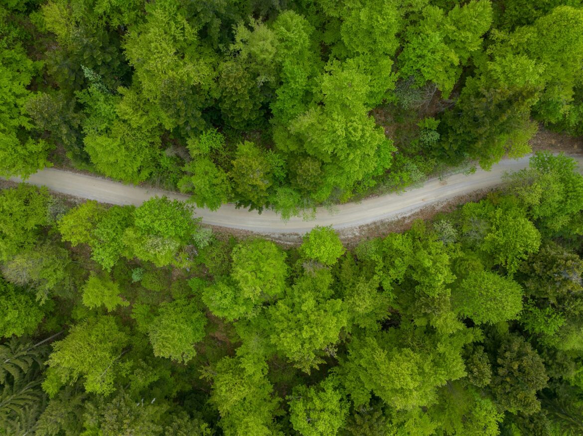 Forestry