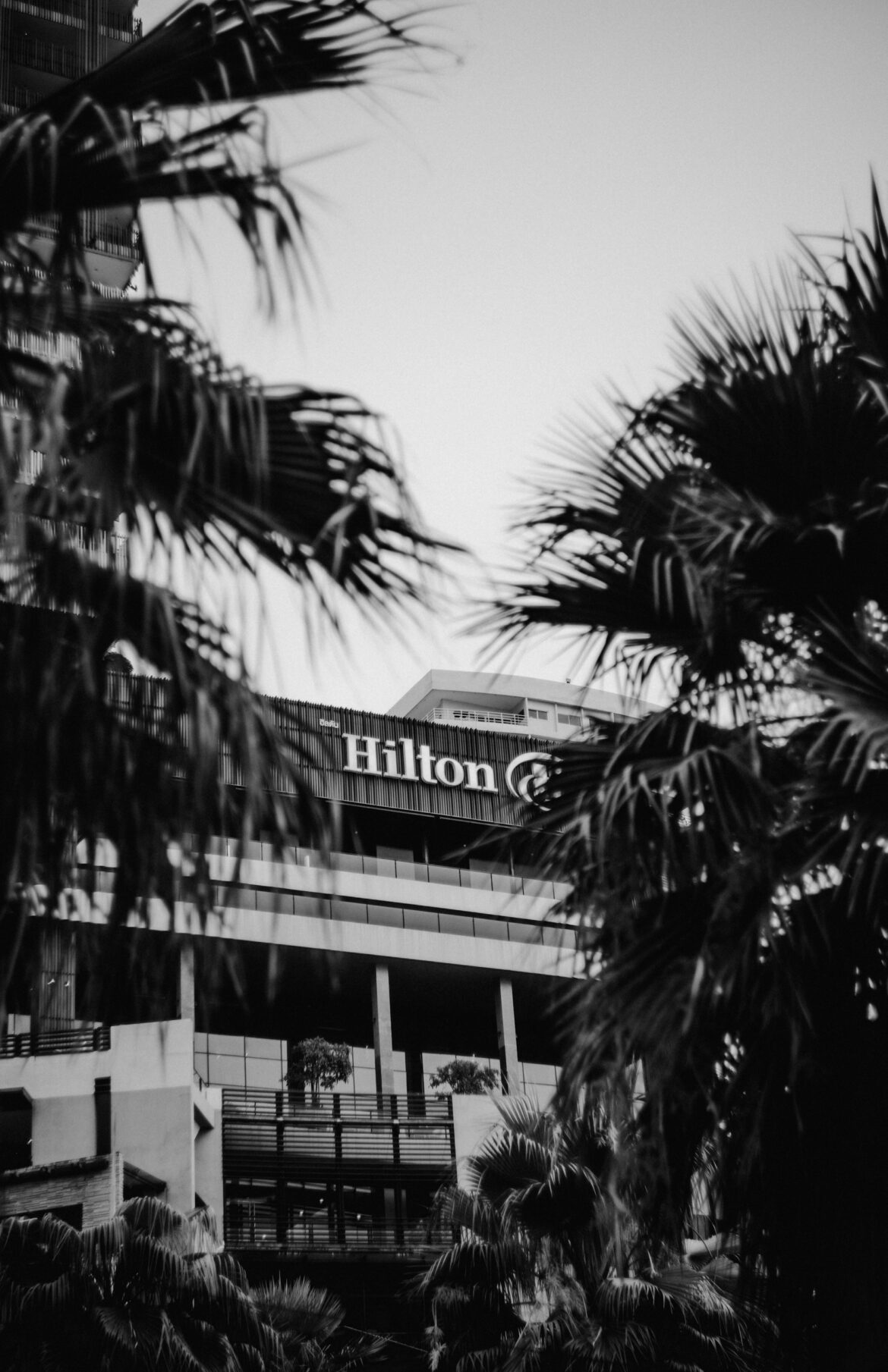 Hilton