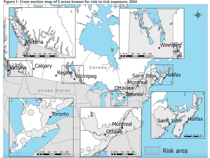 452425f07531e1291939881709932221638ad167efe968fb81d77c772ec79a4f - HR News Canada
