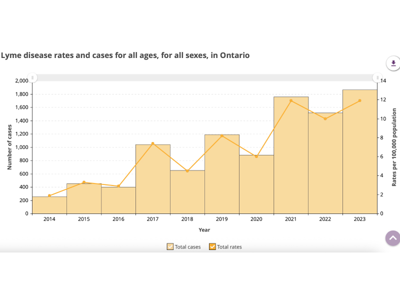 ca0c51f7034b63554a6b5f58ff4ddc5d1dce9e08af48dd8cb83288c29da0865d - HR News Canada