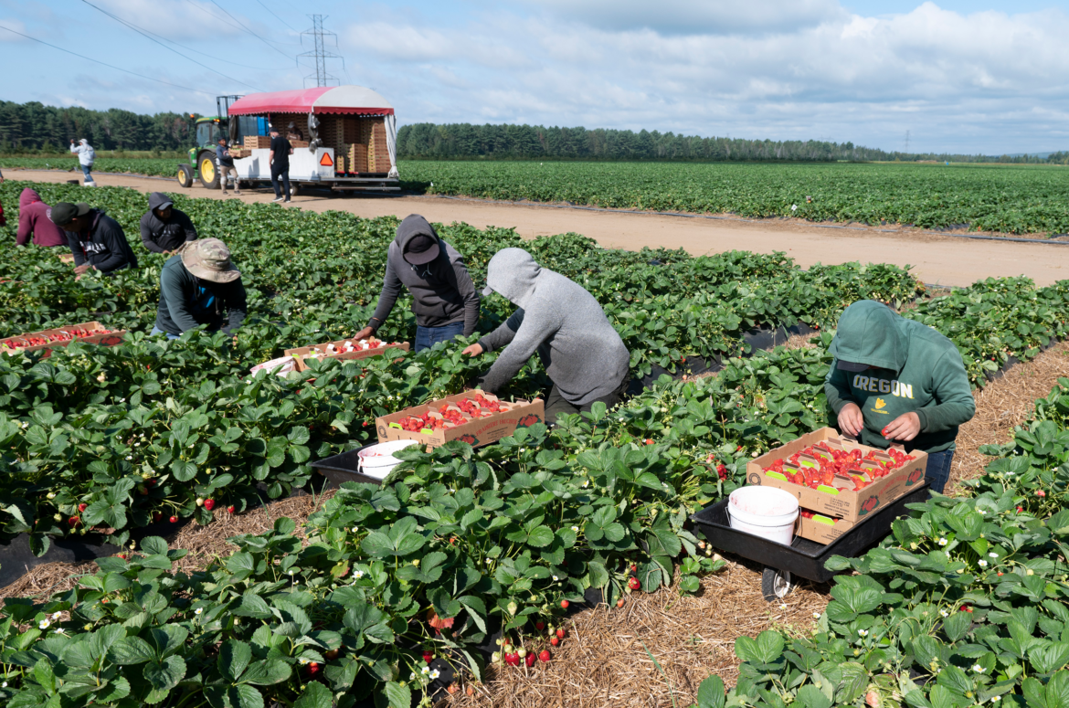 Migrant-Workers