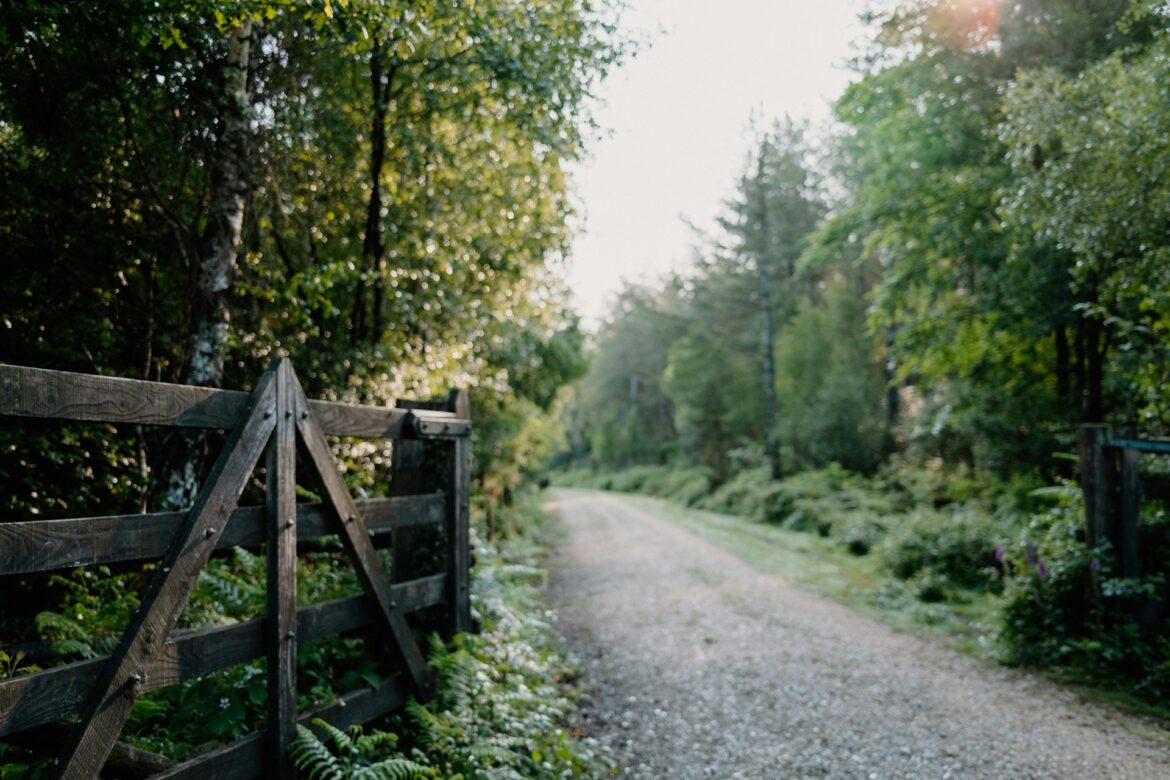 Rural