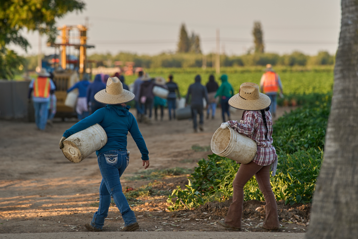Labor Day Immigrant Labor