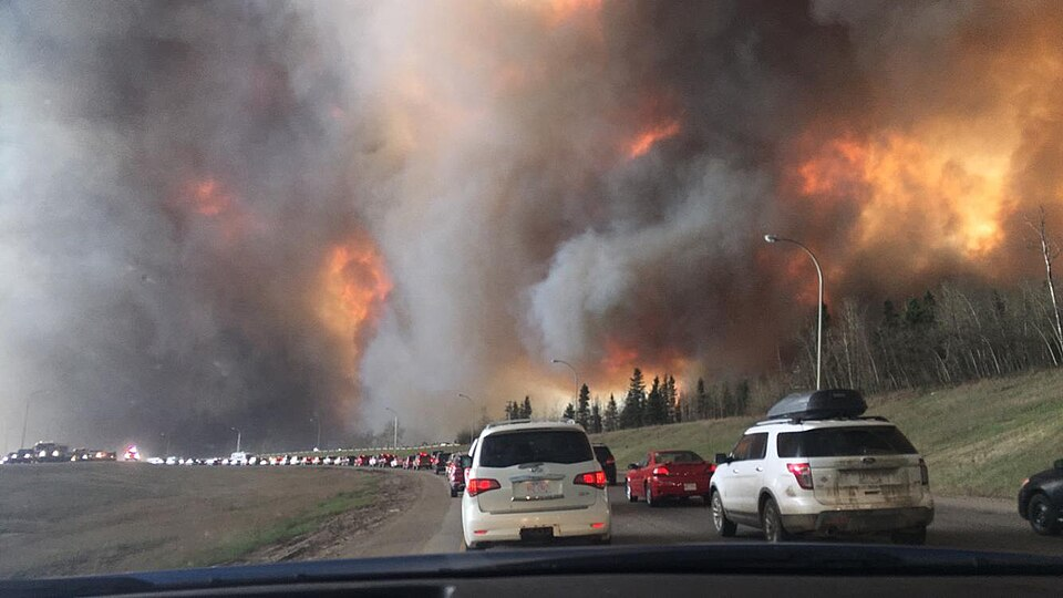 Wildfires